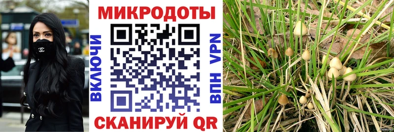 hydra онион  что такое наркотик  Сергач  Галлюциногенные грибы GOLDEN TEACHER 